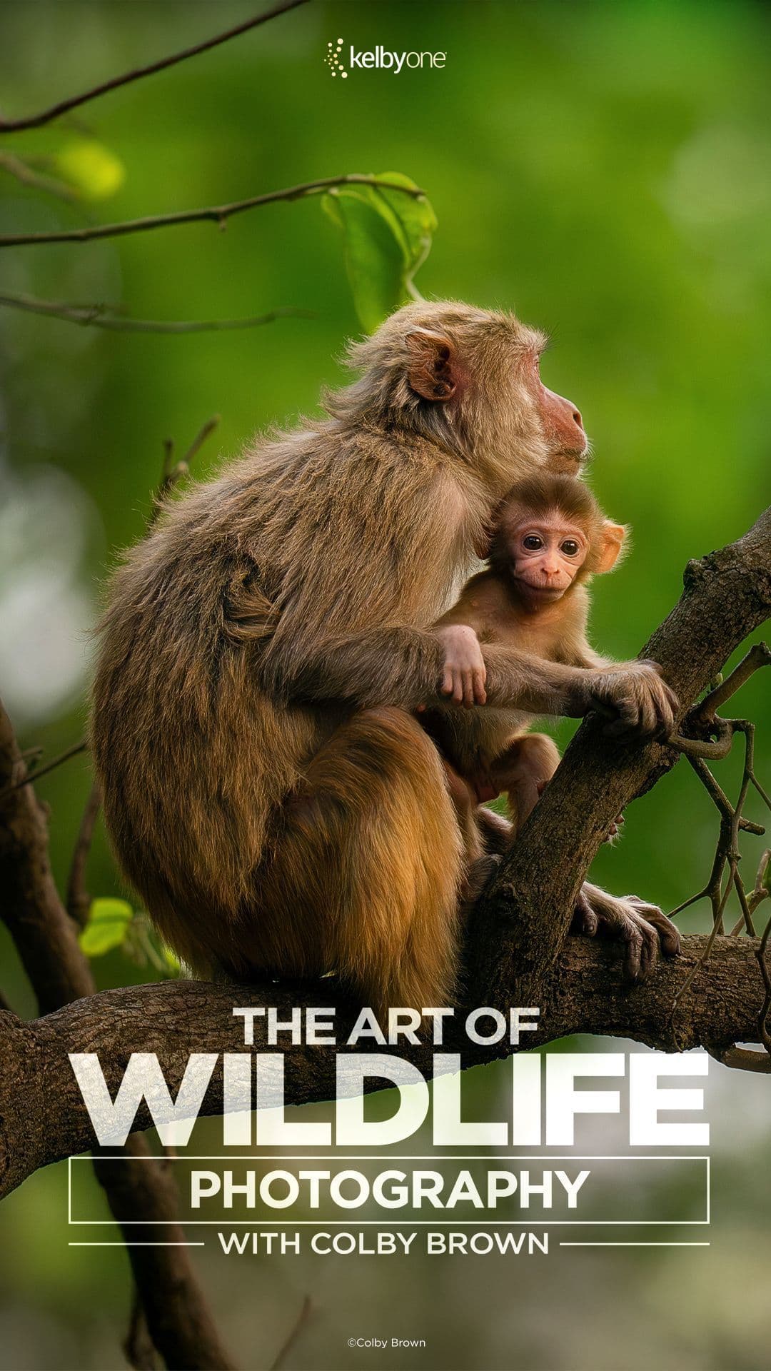 Nature & Science